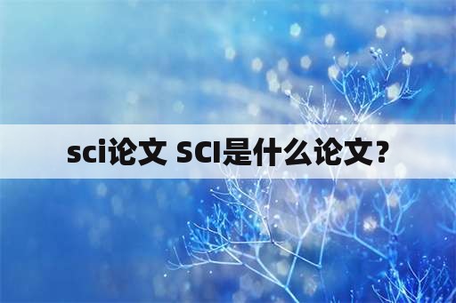 sci论文 SCI是什么论文？