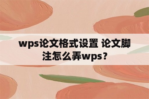wps论文格式设置 论文脚注怎么弄wps？