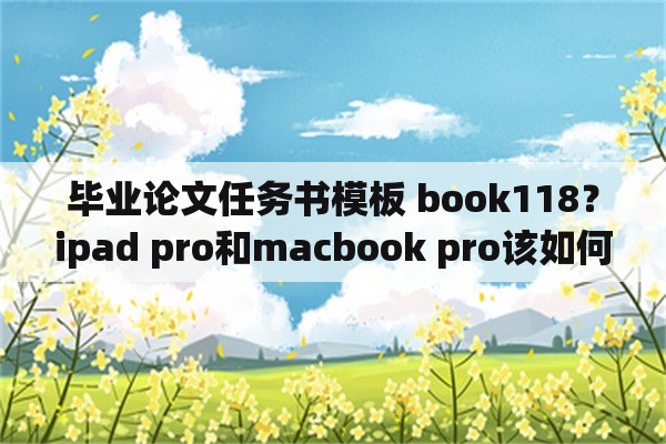 毕业论文任务书模板 book118？ipad pro和macbook pro该如何选择？
