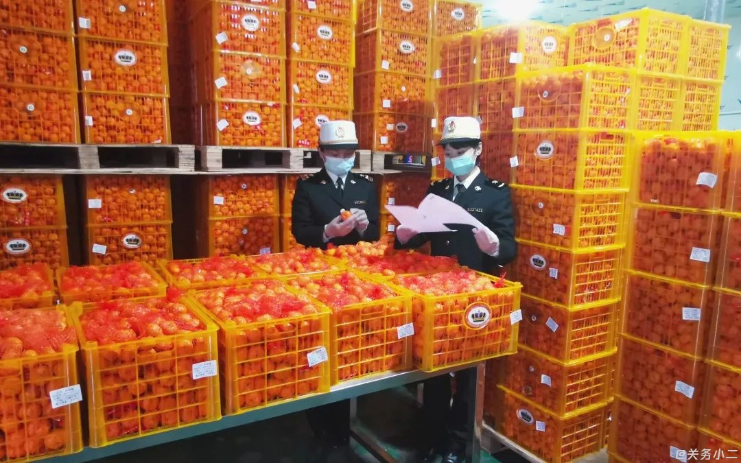 柑橘出口论文(中国柑橘出口现状)